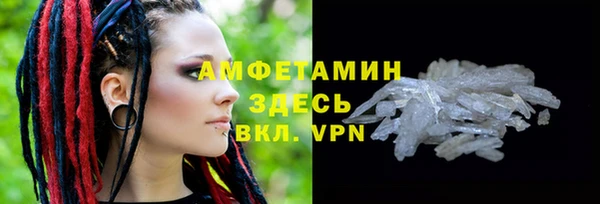 шишки Аркадак