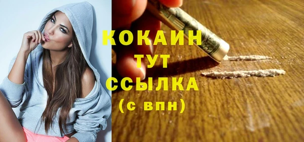 шишки Аркадак